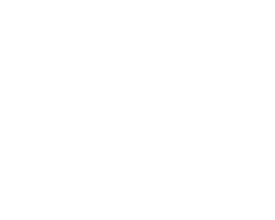 Canvas Logo